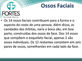 • Os 14 ossos faciais contribuem para a forma e o
aspecto do rosto de uma pessoa. Além disso, as
cavidades das órbitas, nariz e boca são, em boa
parte, construídas dos ossos da face. Dos 14 ossos
que compõem o esqueleto facial, apenas 2 são
ossos individuais. Os 12 restantes consistem em seis
pares de ossos, semelhantes em cada lado da face.
Ossos Faciais
 