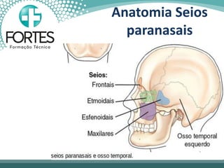 Anatomia Seios
paranasais
 