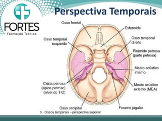 Perspectiva Temporais
 
