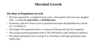 Bacteria Growth and Metabolism | PPTX