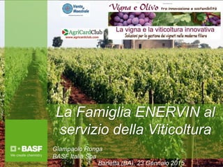 La Famiglia ENERVIN al
servizio della Viticoltura
Giampaolo Ronga
BASF Italia Spa
Barletta (BA), 23 Gennaio 2015
 