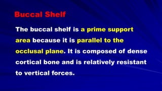 The buccal shelf is a prime support
area because it is parallel to the
occlusal plane. It is composed of dense
cortical bone and is relatively resistant
to vertical forces.
Buccal Shelf
 