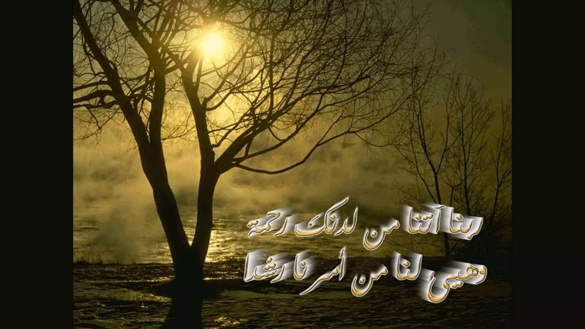 5- Basic principles for designing the removable partial denture (class i partial denture design)