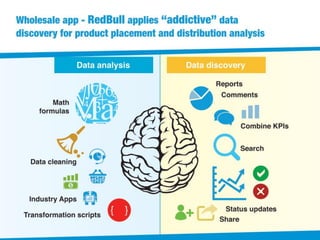 BellaDati - Martin Trgina
