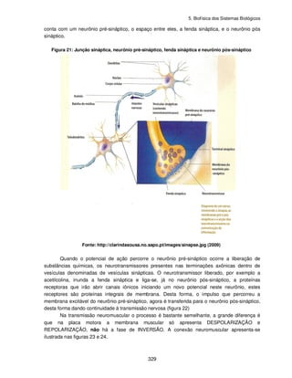 5-Biofisica_dos_sistemas_biologicos.pdf