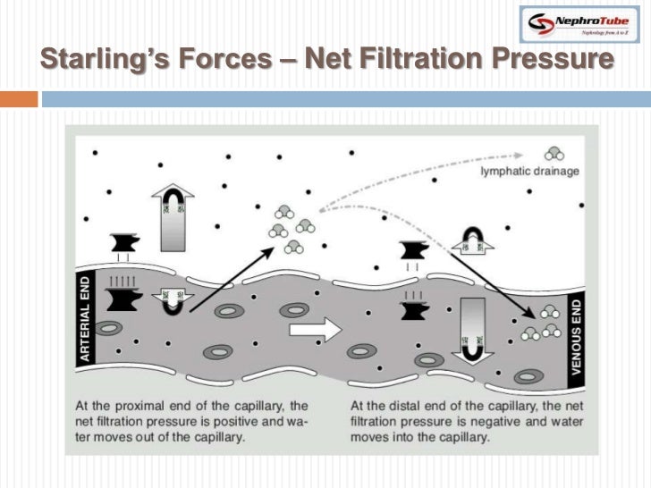 diagram body fluid compartments diagram body fluid compartments