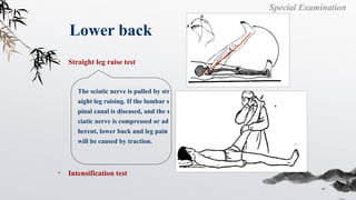 Bone and Joint Examination.ppt presentation | PPT