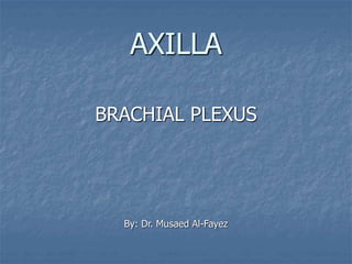 AXILLA
BRACHIAL PLEXUS
By: Dr. Musaed Al-Fayez
 