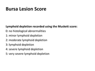Bursa Lesion Score
Lymphoid depletion recorded using the Muskett score:
0: no histological abnormalities
1: minor lymphoid depletion
2: moderate lymphoid depletion
3: lymphoid depletion
4: severe lymphoid depletion
5: very severe lymphoid depletion
 