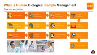 Biologic Sample Inventory Analyzing the Human Biological Sample Management process for clinical ...