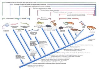 5 carac class-reinos