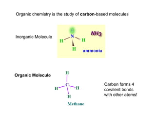 Organic chemistry is the study of  carbon -based molecules Inorganic Molecule Organic Molecule Carbon forms 4 covalent bonds with other atoms! 