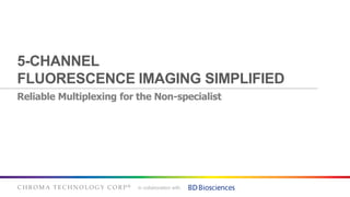 C H R O M A T E C H N O L O G Y C O R P ® in collaboration with
5-CHANNEL
FLUORESCENCE IMAGING SIMPLIFIED
Reliable Multiplexing for the Non-specialist
 