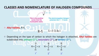 Comprehensive Principles of Organic Halogen Compounds and Their ...