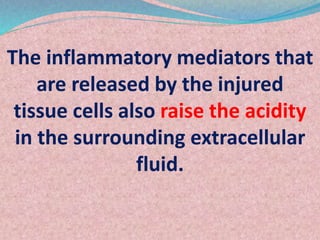 The inflammatory mediators that
are released by the injured
tissue cells also raise the acidity
in the surrounding extrace...