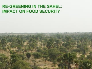 RE-GREENING IN THE SAHEL:
IMPACT ON FOOD SECURITY
 