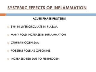 5.chronic inflammation dr ashutosh kumar | PPT