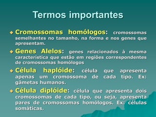 Termos importantes
 Cromossomas homólogos: cromossomas
semelhantes no tamanho, na forma e nos genes que
apresentam.
 Genes Alelos: genes relacionados à mesma
característica que estão em regiões correspondentes
de cromossomas homólogos
 Célula haplóide: célula que apresenta
apenas um cromossoma de cada tipo. Ex:
gâmetas humanos.
 Célula diplóide: célula que apresenta dois
cromossomas de cada tipo, ou seja, apresenta
pares de cromossomas homólogos. Ex: células
somáticas.
 