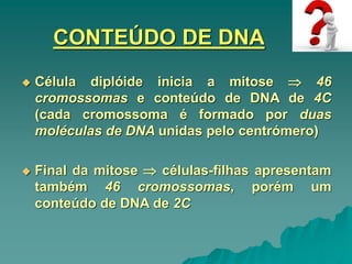 CONTEÚDO DE DNA
 Célula diplóide inicia a mitose  46
cromossomas e conteúdo de DNA de 4C
(cada cromossoma é formado por duas
moléculas de DNA unidas pelo centrómero)
 Final da mitose  células-filhas apresentam
também 46 cromossomas, porém um
conteúdo de DNA de 2C
 