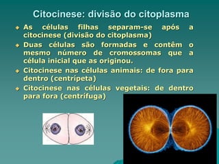 Citocinese: divisão do citoplasma
 As células filhas separam-se após a
citocinese (divisão do citoplasma)
 Duas células são formadas e contêm o
mesmo número de cromossomas que a
célula inicial que as originou.
 Citocinese nas células animais: de fora para
dentro (centrípeta)
 Citocinese nas células vegetais: de dentro
para fora (centrífuga)
 