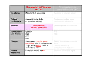 Regulación del Volumen 
del LEC 
Regulación de la 
osmolaridad del LEC 
Importancia Mantener la P sanguínea Mantener el volumen celular 
Variable 
monitoreada 
Contenido total de Na+ 
(V circulante efectivo) 
Contenido total de agua 
(osmolaridad plasmática) 
Sensores Baroreceptores 
de alta y baja presión 
Osmoreceptores hipotalámicos 
Transductores Eje RAA 
AVP 
(Vías eferentes) 
SNS 
AVP 
FNA 
SED 
Efectores Corto plazo: corazón, vasos 
sanguíneos. Afecta la P sanguínea 
Largo plazo: riñón: Afecta la 
Riñón: Afecta la excreción de 
agua 
g p Cerebro: Modifica el 
excreción de Na+ comportamiento de beber 
Variable 
modificada 
Excreción urinaria de Na+ Excreción urinaria de agua 
 