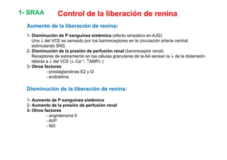 1- SRAA Control de la liberación de renina 
Aumento de la liberación de renina: 
1- Disminución de P sanguínea sistémica (efecto simpático en AJG) 
Una ↓ del VCE es sensado por los baroreceptores en la circulación arteria central, 
estimulando SNS. 
2- Disminución de la presión de perfusión renal (baroreceptor renal) 
Receptores de estiramiento en las células granulares de la AA sensan la ↓ de la distensión 
debida a ↓↓ del VCE (↓↓ Ca++, ↑↑AMPc ) 
3- Otros factores 
- prostaglandinas E2 y I2 
- endotelina 
Disminución de la liberación de renina: 
1- Aumento de P sanguínea sistémica 
2- Aumento de la presión de perfusión renal 
3- Otros factores 
- angiotensina II 
- AVP 
- NO 
 
