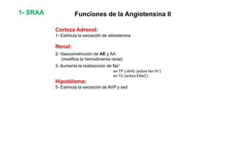 1- SRAA Funciones de la Angiotensina II 
Corteza Adrenal: 
1- Estimula la secreción de aldosterona 
Renal: 
2- Vasoconstricción de AE y AA 
(modifica la hemodinamia renal) 
3- Aumenta la reabsorción de Na+ 
en TP y AHG (activa Na+/H+) 
en TC (activa ENaC) 
Hipotálamo: 
5- Estimula la secreción de AVP y sed 
 