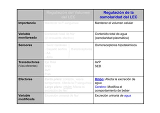 Regulación del Volumen 
del LEC 
Regulación de la 
osmolaridad del LEC 
Importancia Mantener la P sanguínea Mantener el volumen celular 
Variable 
monitoreada 
Contenido total de Na+ 
(V circulante efectivo) 
Contenido total de agua 
(osmolaridad plasmática) 
Sensores - Seno carotideo 
- Cayado aortico Baroreceptores 
- AA 
At i 
Osmoreceptores hipotalámicos 
- Atrio 
Transductores 
(Vías eferentes) 
Eje RAA 
SNS 
AVP 
AVP 
SED 
FNA 
Efectores Corto plazo: corazón, vasos 
í Af t lP í 
Riñón: Afecta la excreción de 
sanguíneos. Afecta la P sanguínea 
Largo plazo: riñón: Afecta la 
excreción de Na+ 
agua 
Cerebro: Modifica el 
comportamiento de beber 
Variable Excreción urinaria de Na+ Excreción urinaria de agua 
modificada 
 