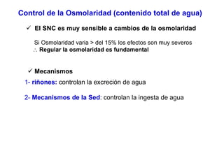 Control de la Osmolaridad (contenido total de agua) 
9 El SNC es muy sensible a cambios de la osmolaridad 
Si Osmolaridad varia > del 15% los efectos son muy severos 
∴ Regular la osmolaridad es fundamental 
9 Mecanismos 
1- riñones: controlan la excreción de agua 
2- Mecanismos de la Sed: controlan la ingesta de agua 
 