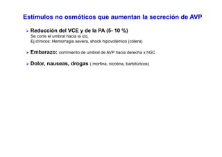 Estímulos no osmóticos que aumentan la secreción de AVP 
¾ Reducción del VCE y de la PA (5- 10 %) 
Se corre el umbral hacia la izq. 
Ej clínicos: Hemorragia severa, shock hipovolémico (cólera) 
¾ Embarazo: corrimiento de umbral de AVP hacia derecha x hGC 
¾ Dolor, nauseas, drogas ( morfina, nicotina, barbitúricos) 
 