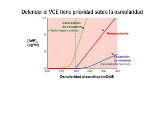Defender el VCE tiene prioridad sobre la osmolaridad 
Contracción 
de volumen 
(Hemorragia y colera) 
Normovolemia 
[AVP]p 
(pg/ml) 
Expansión 
de volumen 
(hiperaldosteronismo) 
Osmolaridad plasmática (mOsM) 
 