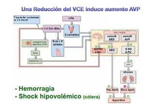 - Hemorragia 
- Shock hipovolémico (cólera) 
 