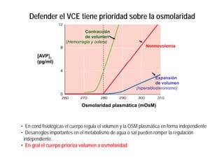 Defender el VCE tiene prioridad sobre la osmolaridad 
Contracción 
de volumen 
(Hemorragia y colera) 
Normovolemia 
[AVP]p 
(pg/ml) 
Expansión 
de volumen 
(hiperaldosteronismo) 
Osmolaridad plasmática (mOsM) 
• En cond fisiológicas el cuerpo regula el volumen y la OSM plasmática en forma independiente 
•• Desarreglos importantes en el metabolismo de agua o sal pueden romper la regulación 
independiente. 
• En gral el cuerpo prioriza volumen a osmolaridad 
 