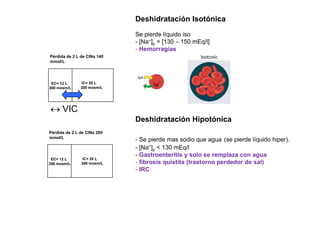 Deshidratación Isotónica 
pierde líquido Pérdida de 2 L de ClNa 140 
mmol/L 
Se iso 
- [Na+]p = [130 – 150 mEq/l] 
- Hemorragias 
EC= 12 L 
300 mosm/L 
300 mosm/IC= 28 L 
L 
↔ VIC 
Pérdida de 2 L de ClNa 280 
mmol/L 
Deshidratación Hipotónica 
(hiper) 
EC= 12 L 
L 
IC= 28 L 
L 
- Se pierde mas sodio que agua se pierde líquido hiper). 
- [Na+]p < 130 mEq/l 
- Gastroenteritis y solo se remplaza con agua 
256 mosm/300 mosm/- fibrosis quistita (trastorno perdedor de sal) 
- IRC 
 
