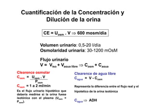 Cuantificación de la Concentración y 
Dilución de la orina 
CE = Uosm . V ⇒ 600 mosm/día 
Volumen urinario: 0,5-20 l/día 
Osmolaridad urinaria: 30-1200 mOsM 
Flujo urinario 
V = Viso + Vagua libre ⇒ Cosm + Cagua 
Clearence osmolar 
Cosm = Uosm . V 
Clearence de agua libre 
Cagua = V - Cosm P 
Posm 
Cosm = 1 a 2 ml/min 
Es el flujo urinario hipotético que 
agua osm 
Representa la diferencia entre el flujo real y el 
j hipotetico de la orina isotónica 
debería medirse si la orina fuese 
isotónica con el plasma (Uosm = 
Posm). 
p 
Cagua ⇒ ADH 
 