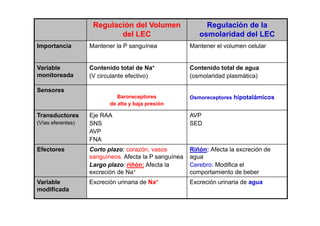Regulación del Volumen 
del LEC 
Regulación de la 
osmolaridad del LEC 
Importancia Mantener la P sanguínea Mantener el volumen celular 
Variable 
monitoreada 
Contenido total de Na+ 
(V circulante efectivo) 
Contenido total de agua 
(osmolaridad plasmática) 
Sensores 
Baroreceptores 
de alta y baja presión 
Osmoreceptores hipotalámicos 
Transductores Ej AVP 
(Vías eferentes) 
Eje RAA 
SNS 
AVP 
FNA 
SED 
Efectores Corto plazo: corazón, vasos 
sanguíneos. Afecta la P sanguínea 
Largo plazo: riñón: Riñón: Afecta la excreción de 
agua 
Afecta la 
Cerebro: el 
excreción de Na+ 
Modifica comportamiento de beber 
Variable 
modificada 
Excreción urinaria de Na+ Excreción urinaria de agua 
 