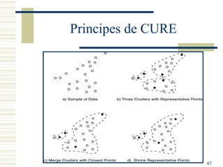 Principes de CURE




                    47
 