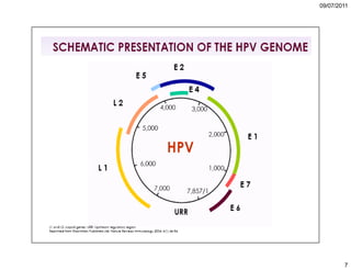 5. cáncer de cuello uterino
