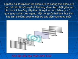 Lớp thứ hai là lớp kính lọc phân cực có quang trục phân cực
 dọc, kế đến là một lớp tinh thể lỏng được kẹp chặt giữa hai
 tấm thuỷ tinh mỏng, tiếp theo là lớp kính lọc phân cực có
quang trục phân cực ngang. Mặt trong của hai tấm thuỷ tinh
  kẹp tinh thể lỏng có phủ một lớp các điện cực trong suốt




      Các lớp cấu tạo màn hình LCD
 