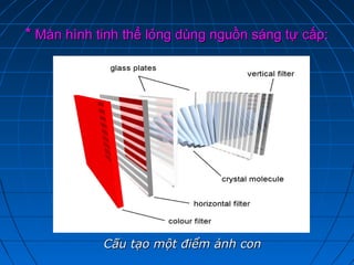 * Màn hình tinh thể lỏng dùng nguồn sáng tự cấp:




            Cấu tạo một điểm ảnh con
 