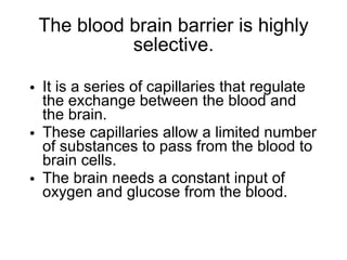 The blood brain barrier is highly selective. It is a series of capillaries that regulate the exchange between the blood and the brain. These capillaries allow a limited number of substances to pass from the blood to brain cells. The brain needs a constant input of oxygen and glucose from the blood. 
