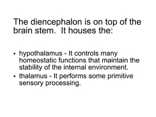 The diencephalon is on top of the brain stem.  It houses the: hypothalamus - It controls many homeostatic functions that maintain the stability of the internal environment. thalamus - It performs some primitive sensory processing. 