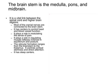The brain stem is the medulla, pons, and midbrain. It is a vital link between the spinal cord and higher brain regions. Most of the cranial nerves are connected to the brain stem. It has centers to control heart and blood vessel function. It plays a role in modulating the sense of pain. It plays a role in regulating muscle reflexes involved in equilibrium and posture. The reticular formation ranges from the brainstem to the thalamus.  It controls cortical alertness and direct attention. It has sleep centers. 