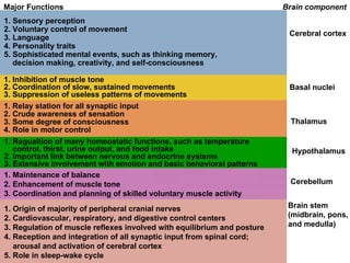 Major Functions 1. Sensory perception 2. Voluntary control of movement 3. Language 4. Personality traits 5. Sophisticated mental events, such as thinking memory,  decision making, creativity, and self-consciousness 1. Inhibition of muscle tone 2. Coordination of slow, sustained movements 3. Suppression of useless patterns of movements 1. Relay station for all synaptic input 2. Crude awareness of sensation 3. Some degree of consciousness 4. Role in motor control 1. Regualtion of many homeostatic functions, such as temperature control, thirst, urine output, and food intake 2. Important link between nervous and endocrine systems 3. Extensive involvement with emotion and basic behavioral patterns 1. Maintenance of balance 2. Enhancement of muscle tone 3. Coordination and planning of skilled voluntary muscle activity 1. Origin of majority of peripheral cranial nerves 2. Cardiovascular, respiratory, and digestive control centers 3. Regulation of muscle reflexes involved with equilibrium and posture 4. Reception and integration of all synaptic input from spinal cord; arousal and activation of cerebral cortex 5. Role in sleep-wake cycle Brain component Cerebral cortex Basal nuclei Thalamus Hypothalamus Cerebellum Brain stem (midbrain, pons, and medulla) 