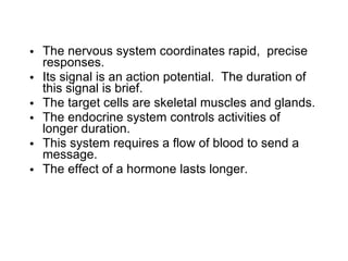 The nervous system coordinates rapid,  precise responses.  Its signal is an action potential.  The duration of this signal is brief. The target cells are skeletal muscles and glands. The endocrine system controls activities of longer duration.  This system requires a flow of blood to send a message.  The effect of a hormone lasts longer. 
