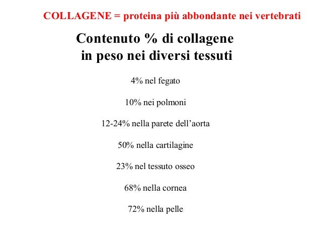 Struttura del collagene
Proteina fibrosa
Il collagene, una proteina fibrosa, è prodotto da diversi tipi
cellulari ma princ...