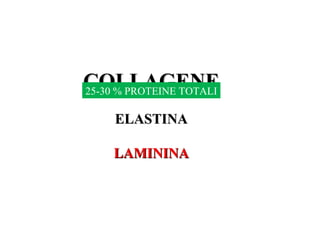 COLLAGENECOLLAGENE
ELASTINAELASTINA
LAMININALAMININA
25-30 % PROTEINE TOTALI
 