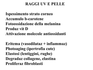 RAGGI UV E PELLE
oIspessimento strato corneo
oAccumulo b-carotene
oFotoossidazione della melanina
oProduz vit D
oAttivazione molecole antiossidanti
oEritema (vasodilataz + infiammaz)
oPhotoaging (ipertrofia cute)
oElastosi (lentiggini, rughe)
oDegradaz collagene, elastina
oProliferaz fibroblasti
 
