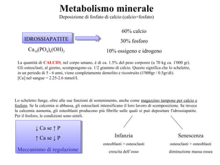 Metabolismo minerale
Deposizione di fosfato di calcio (calcio+fosfato)
IDROSSIAPATITE
Ca10(PO4)6(OH)2
60% calcio
30% fosforo
10% ossigeno e idrogeno
La quantità di CALCIO, nel corpo umano, è di ca. 1.5% del peso corporeo (a 70 kg ca. 1'000 gr).
Gli osteoclasti, al giorno, scompongono ca. 1/2 grammo di calcio. Questo significa che lo scheletro,
in un periodo di 5 - 6 anni, viene completamente demolito e ricostruito (1'000gr / 0.5gr/dì).
[Ca] nel sangue = 2.25-2.6 mmol/L
Lo scheletro funge, oltre alle sue funzioni di sostenimento, anche come magazzino tampone per calcio e
fosforo. Se la calcemia si abbassa, gli osteoclasti intensificano il loro lavoro di scomposizione. Se invece
la calcemia aumenta, gli osteoblasti producono più fibrille sulle quali si può depositare l'idrossiapatite.
Per il fosforo, le condizioni sono simili.
Infanzia
osteoblasti > osteoclasti
crescita dell’osso
Senescenza
osteoclasti > osteoblasti
diminuzione massa ossea
↓ Ca se ↑ P
↑ Ca se ↓ P
Meccanismo di regolazione
 