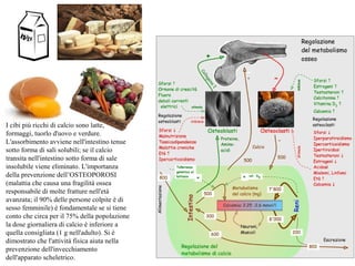 I cibi più ricchi di calcio sono latte,
formaggi, tuorlo d'uovo e verdure.
L'assorbimento avviene nell'intestino tenue
sotto forma di sali solubili; se il calcio
transita nell'intestino sotto forma di sale
insolubile viene eliminato. L'importanza
della prevenzione dell’OSTEOPOROSI
(malattia che causa una fragilità ossea
responsabile di molte fratture nell'età
avanzata; il 90% delle persone colpite è di
sesso femminile) è fondamentale se si tiene
conto che circa per il 75% della popolazione
la dose giornaliera di calcio è inferiore a
quella consigliata (1 g nell'adulto). Si è
dimostrato che l'attività fisica aiuta nella
prevenzione dell'invecchiamento
dell'apparato scheletrico.
 